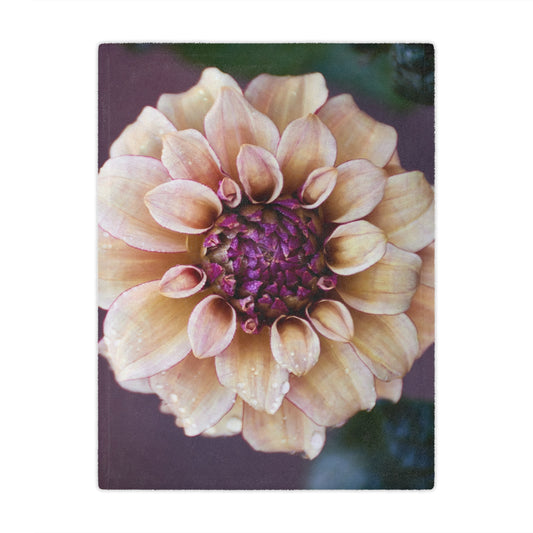 Minky Blanket - Creme and Raspberry Dahlia Photo Garden Throw