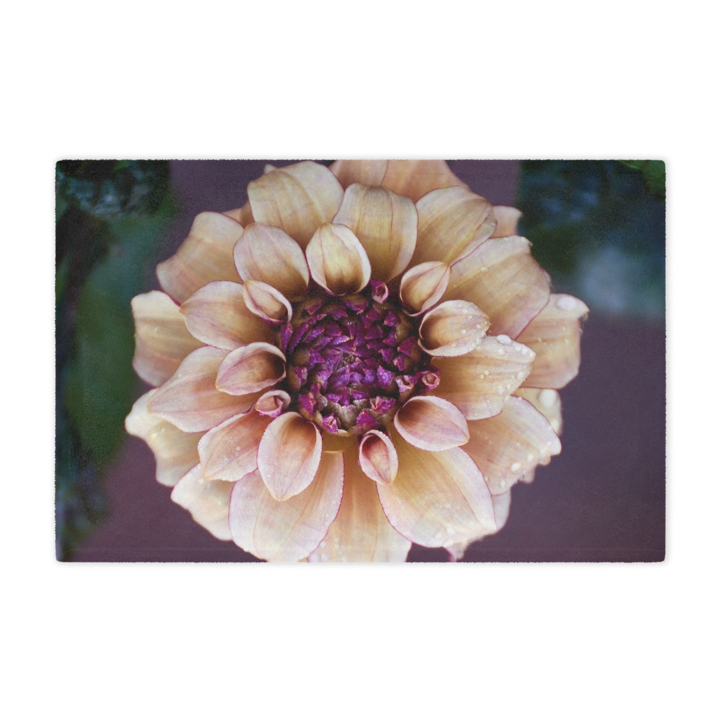 Minky Blanket - Creme and Raspberry Dahlia Photo Garden Throw