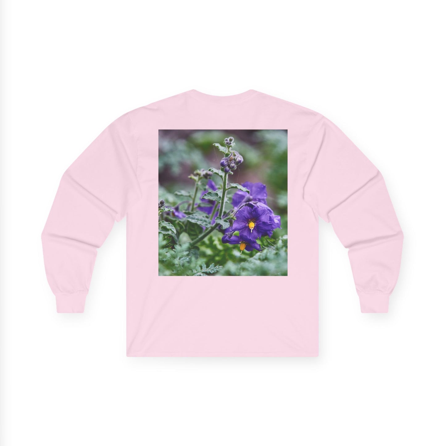 Plant Photo Long Sleeve Tee - California Native Solanum xanti var. hoffmannii