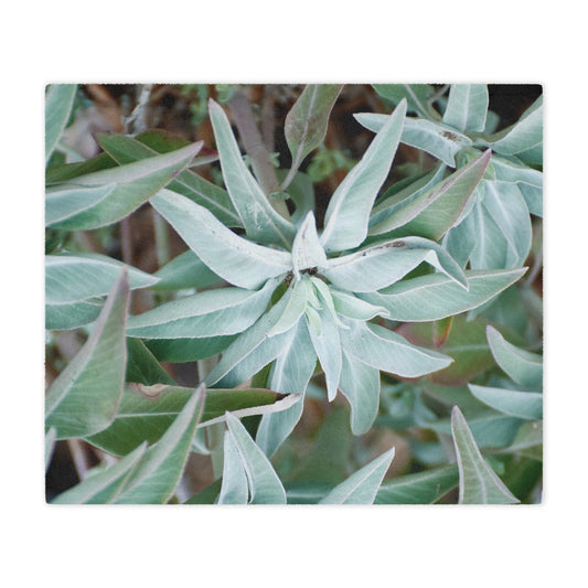Throw Blanket - California Native White Sage Plant Photo Design