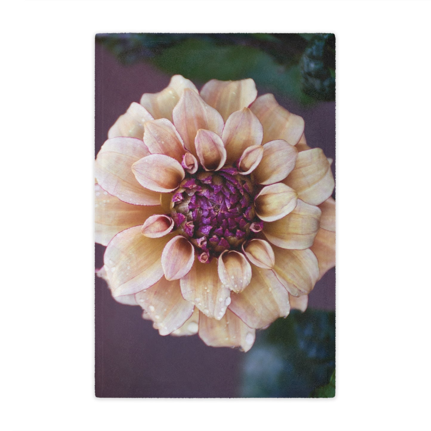 Minky Blanket - Creme and Raspberry Dahlia Photo Garden Throw