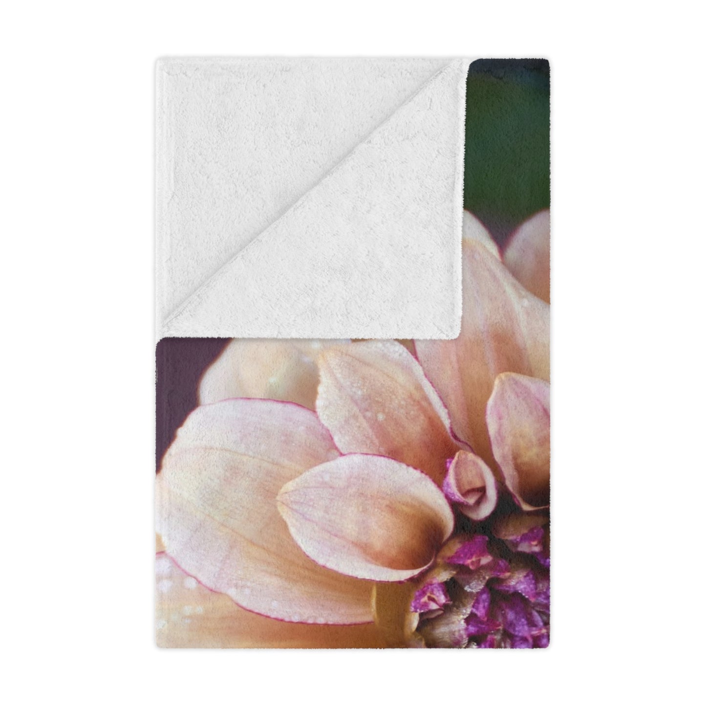 Minky Blanket - Creme and Raspberry Dahlia Photo Garden Throw