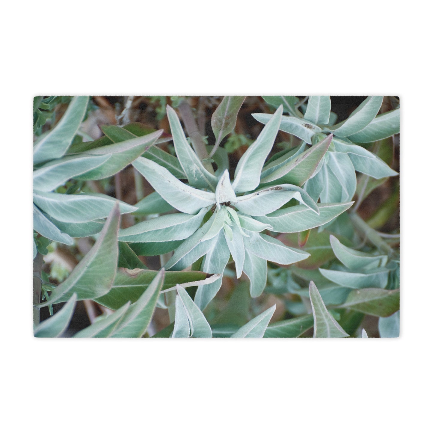 Throw Blanket - California Native White Sage Plant Photo Design