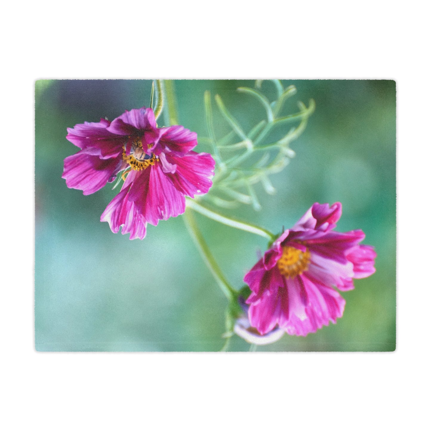 Minky Blanket - Honey Bee on Cosmos Organic Garden Design