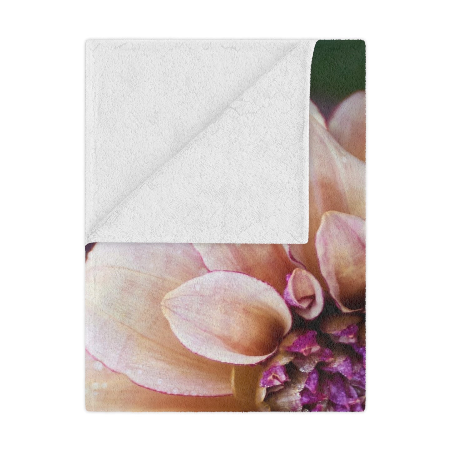 Minky Blanket - Creme and Raspberry Dahlia Photo Garden Throw