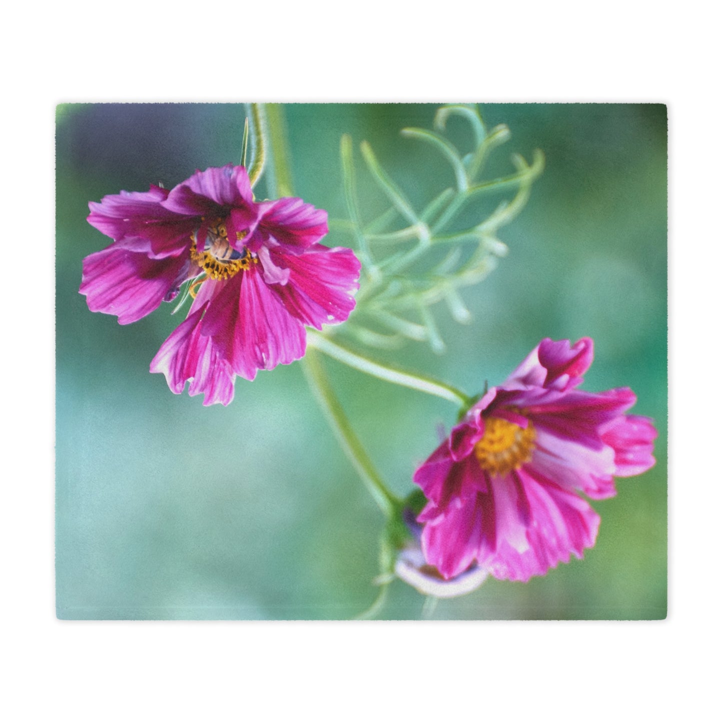 Minky Blanket - Honey Bee on Cosmos Organic Garden Design