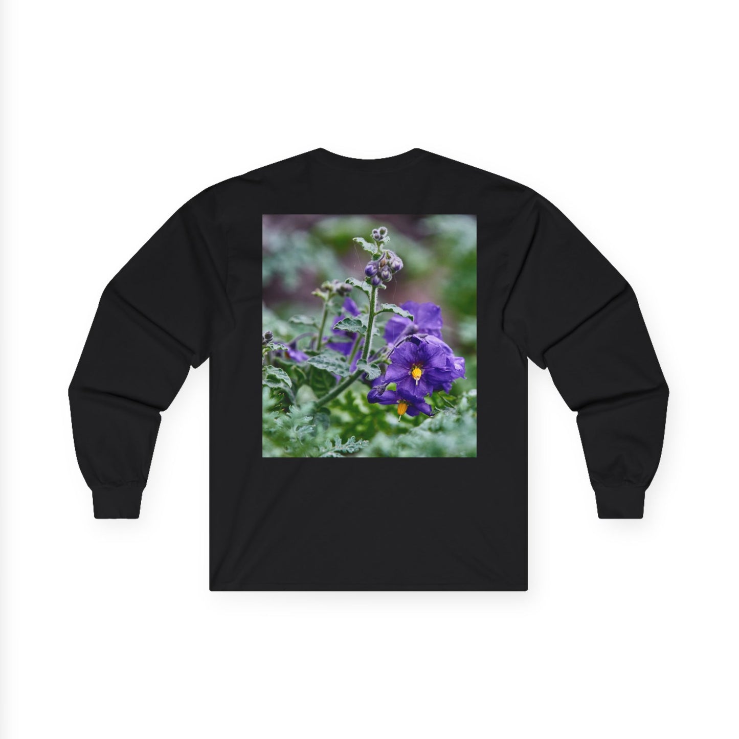 Plant Photo Long Sleeve Tee - California Native Solanum xanti var. hoffmannii