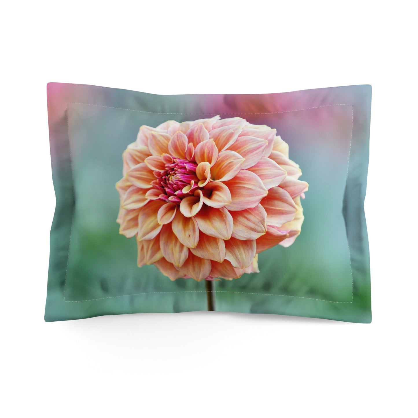 Pillow Sham - Raspberry Creme Brulee Dahlia Photo Design