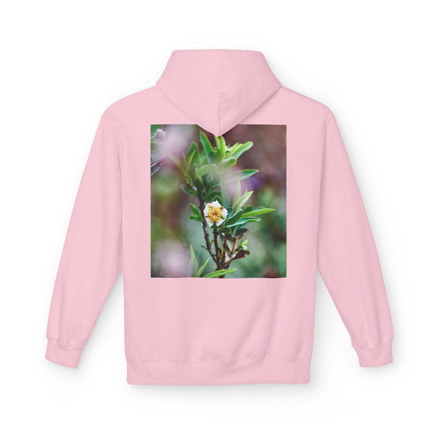 California Native Flower Hoodie — Channel Island Bush Poppy & Catalina Rock Flower Photo