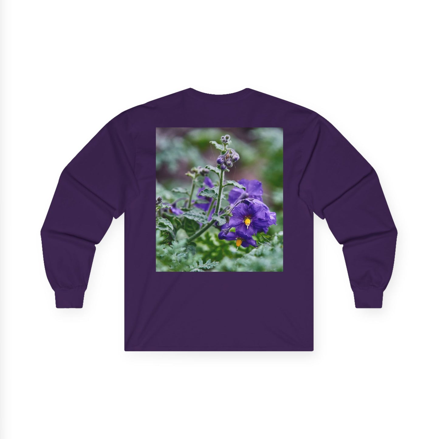 Plant Photo Long Sleeve Tee - California Native Solanum xanti var. hoffmannii
