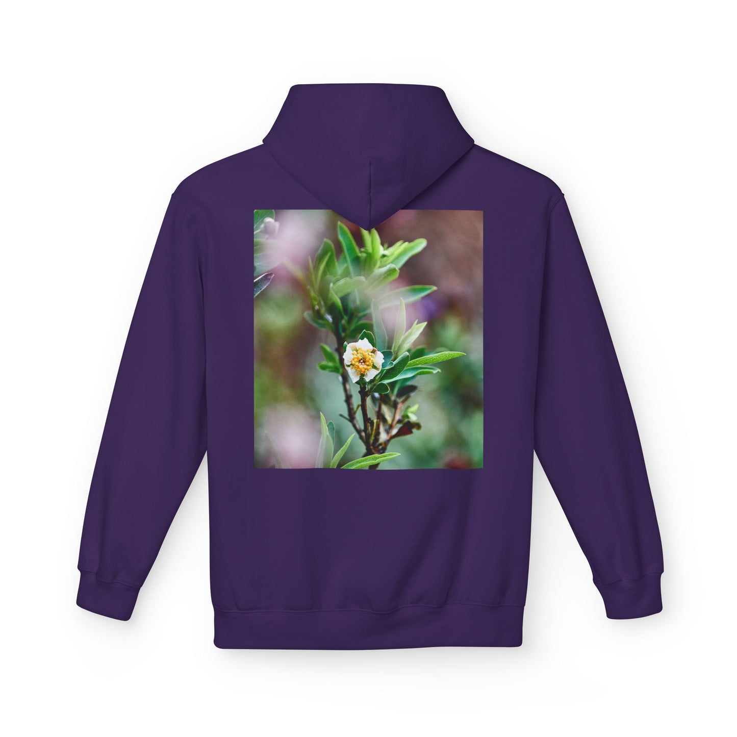 California Native Flower Hoodie — Channel Island Bush Poppy & Catalina Rock Flower Photo