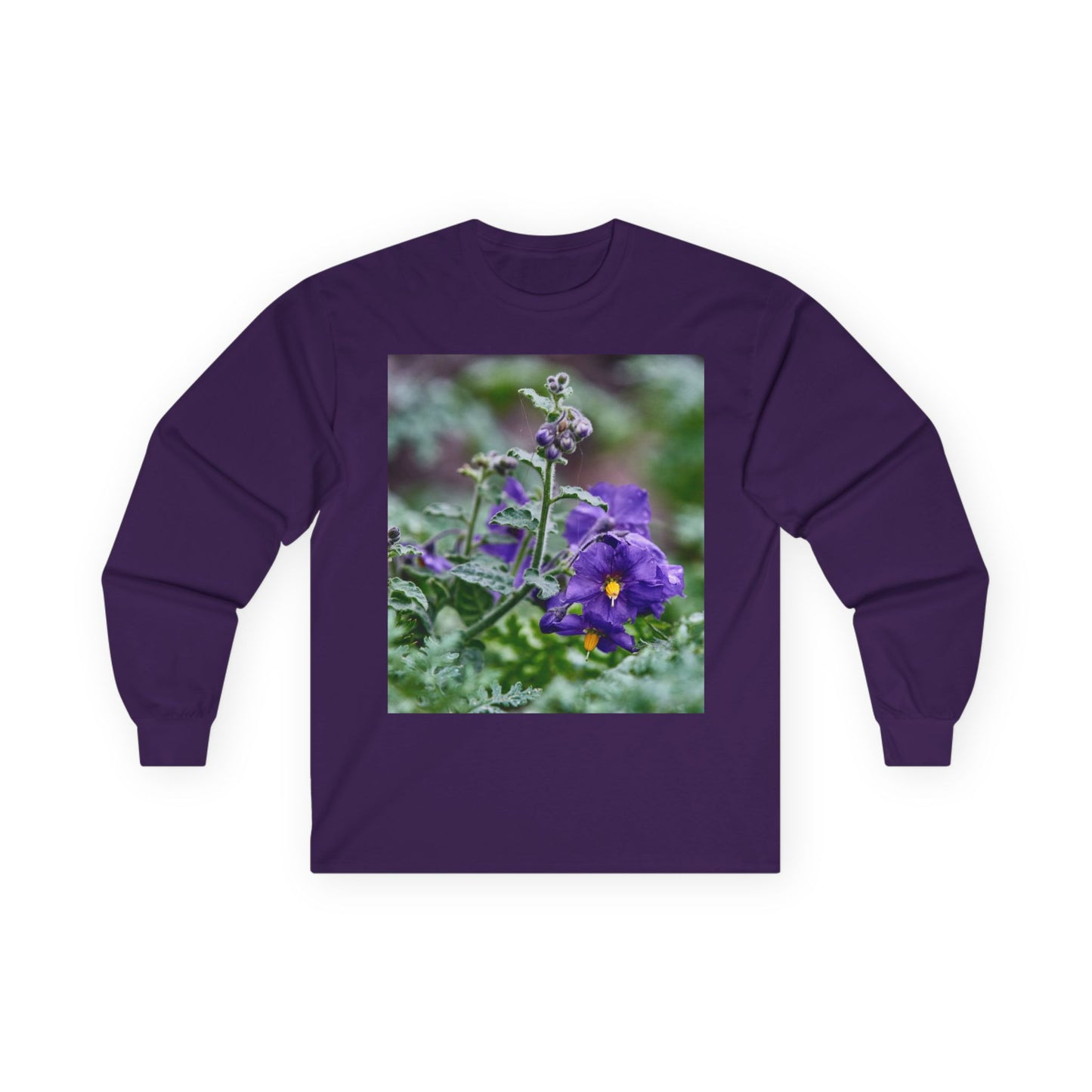 Plant Photo Long Sleeve Tee - California Native Solanum xanti var. hoffmannii