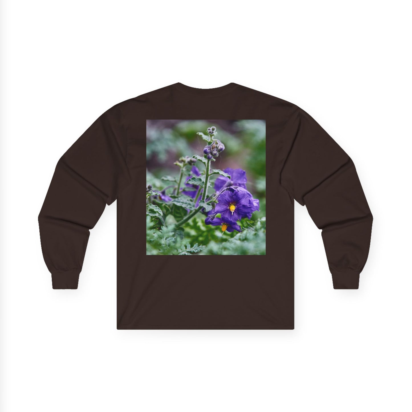 Plant Photo Long Sleeve Tee - California Native Solanum xanti var. hoffmannii