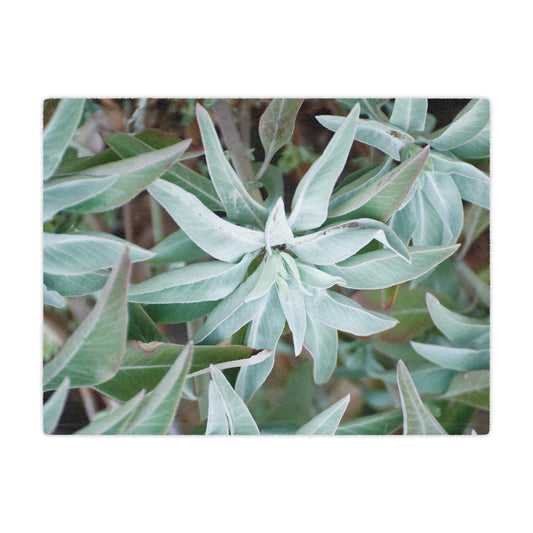Throw Blanket - California Native White Sage Plant Photo Design