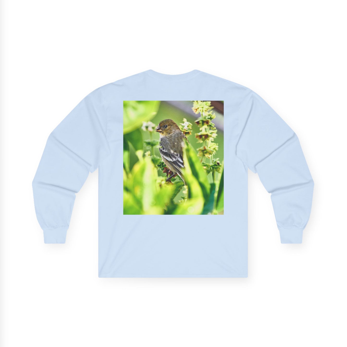 Tee - Lesser Goldfinch Eating from Basil Plant Photo