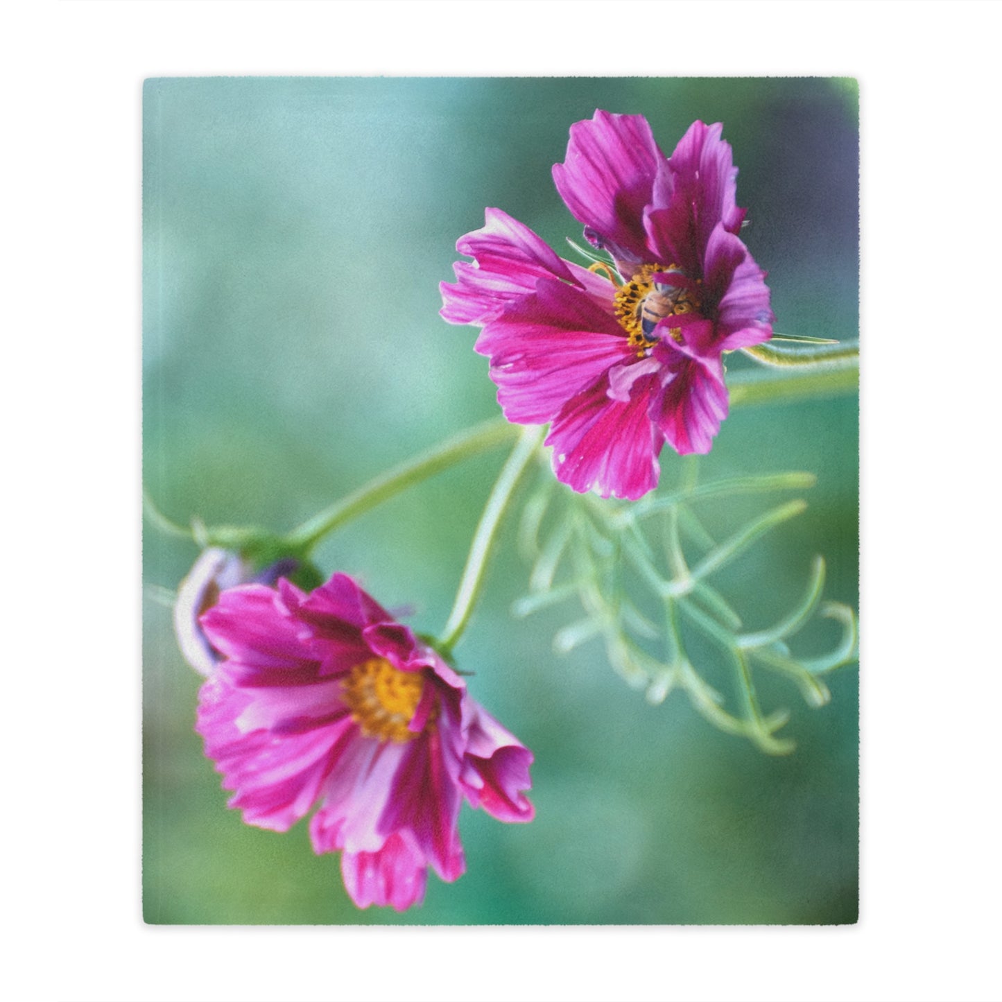 Minky Blanket - Honey Bee on Cosmos Organic Garden Design