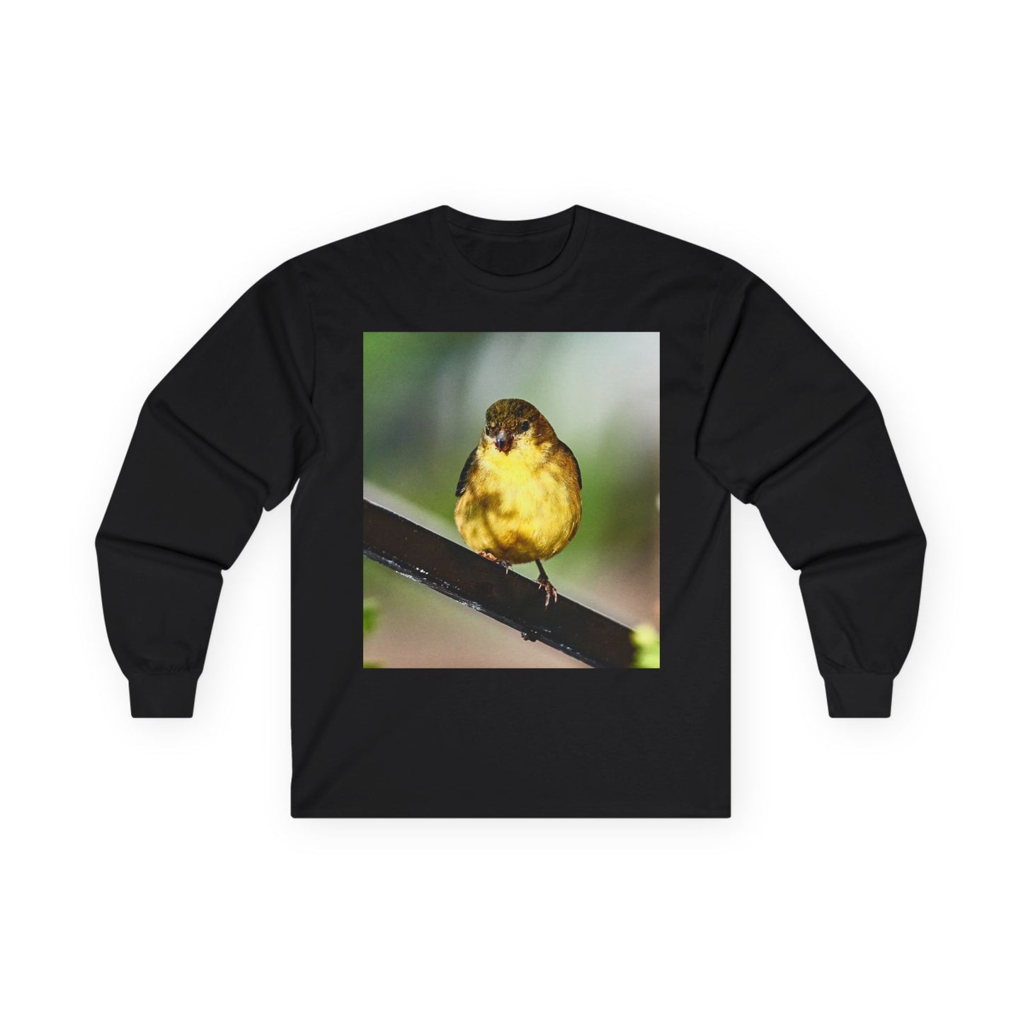 Tee - Lesser Goldfinch Eating from Basil Plant Photo
