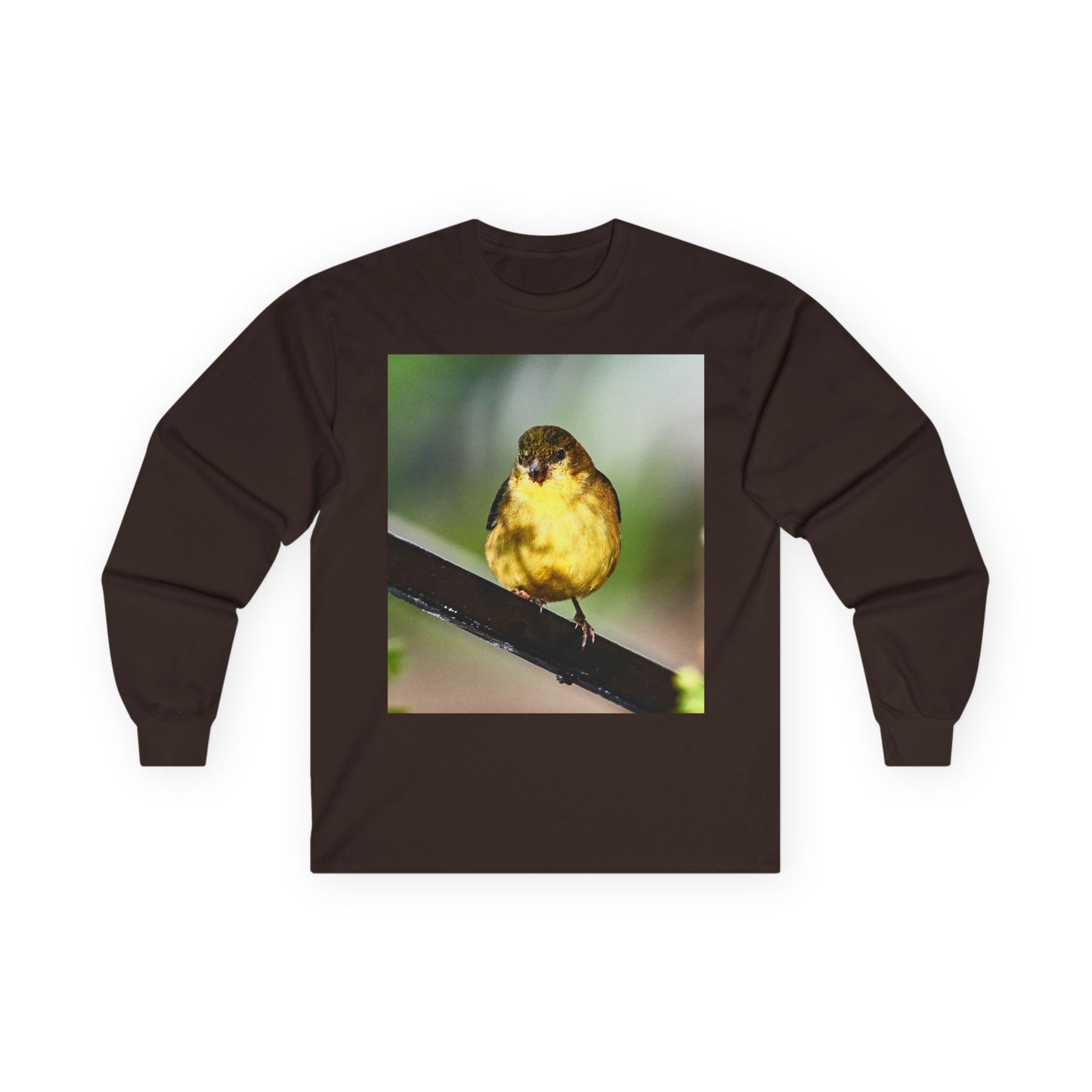 Tee - Lesser Goldfinch Eating from Basil Plant Photo