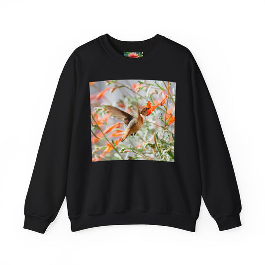 sweatshirt - hummingbird and fritillary butterfly