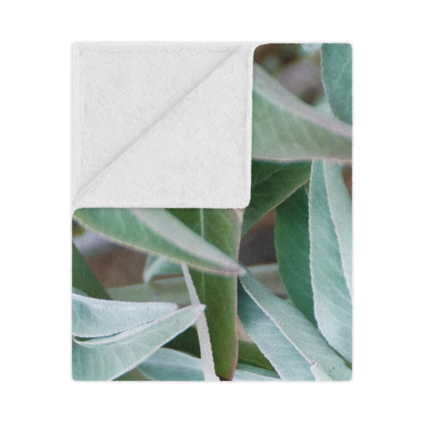 Throw Blanket - California Native White Sage Plant Photo Design