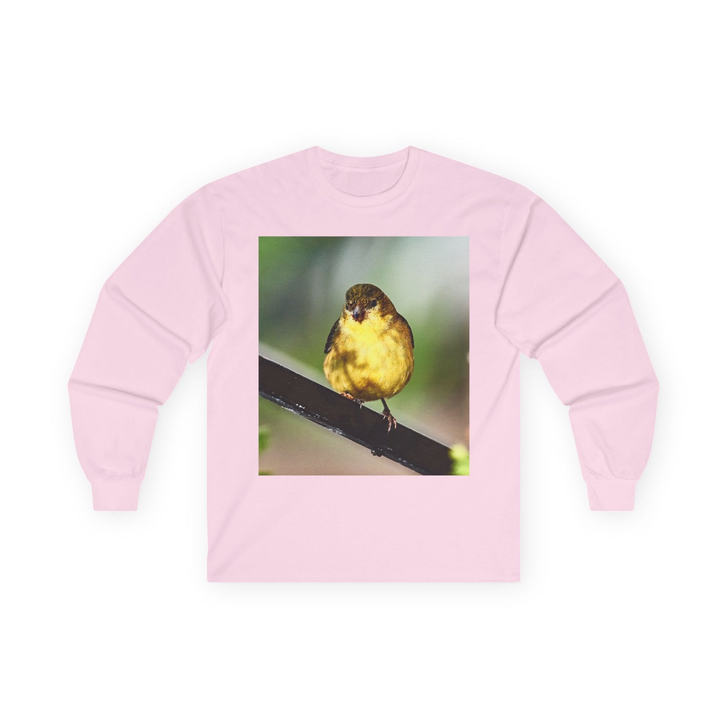 Tee - Lesser Goldfinch Eating from Basil Plant Photo