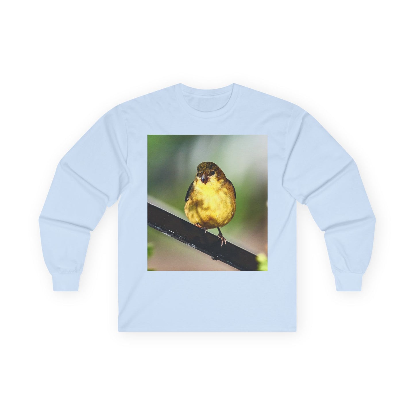 Tee - Lesser Goldfinch Eating from Basil Plant Photo