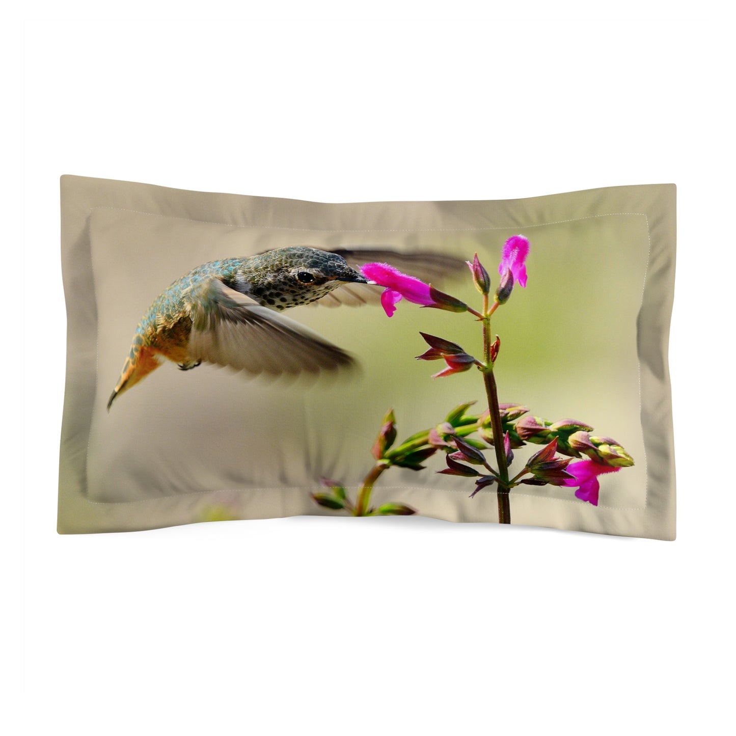 Pillow Sham - Hummingbird and Sage Flower Photo Print