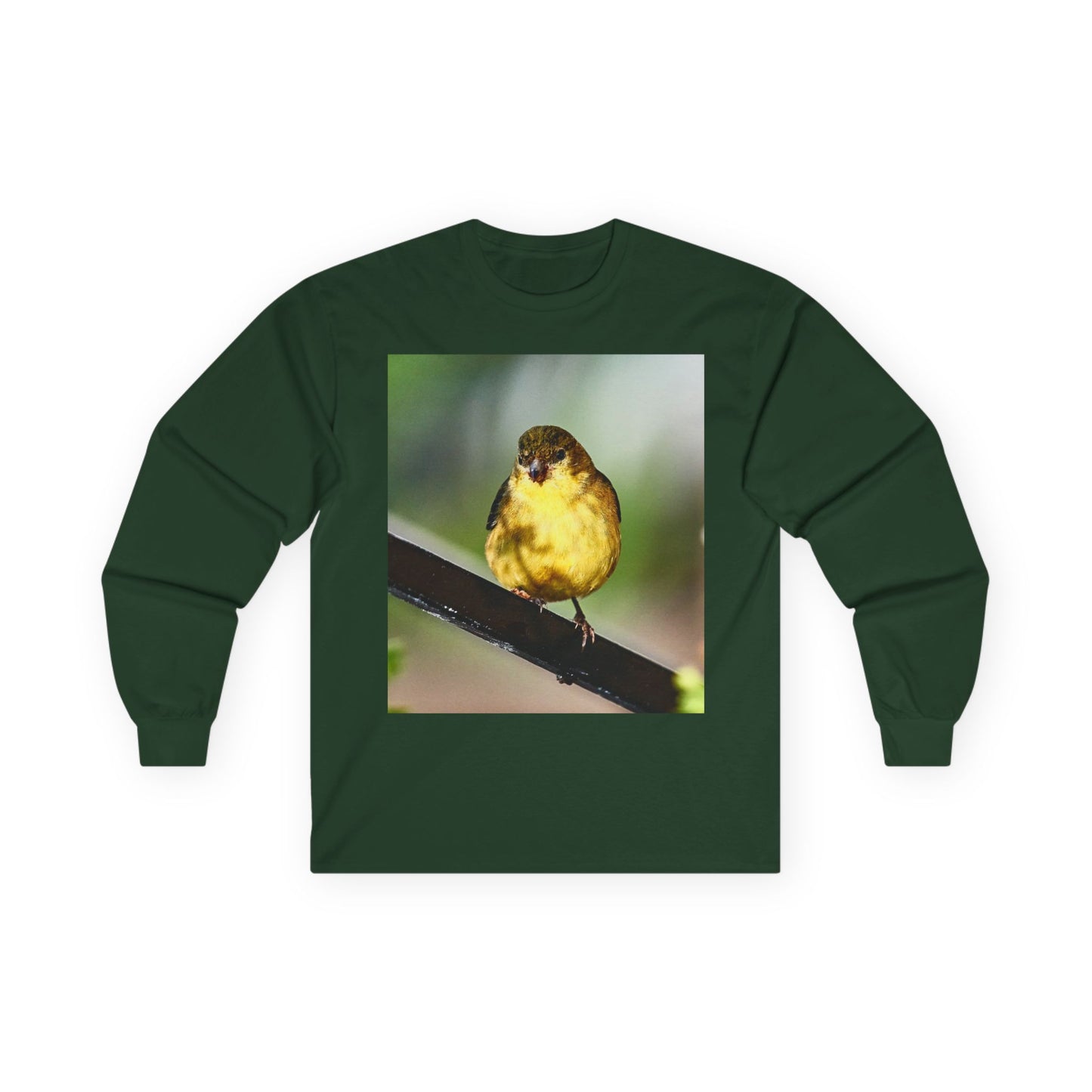 Tee - Lesser Goldfinch Eating from Basil Plant Photo