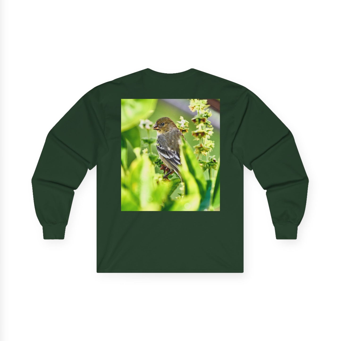 Tee - Lesser Goldfinch Eating from Basil Plant Photo