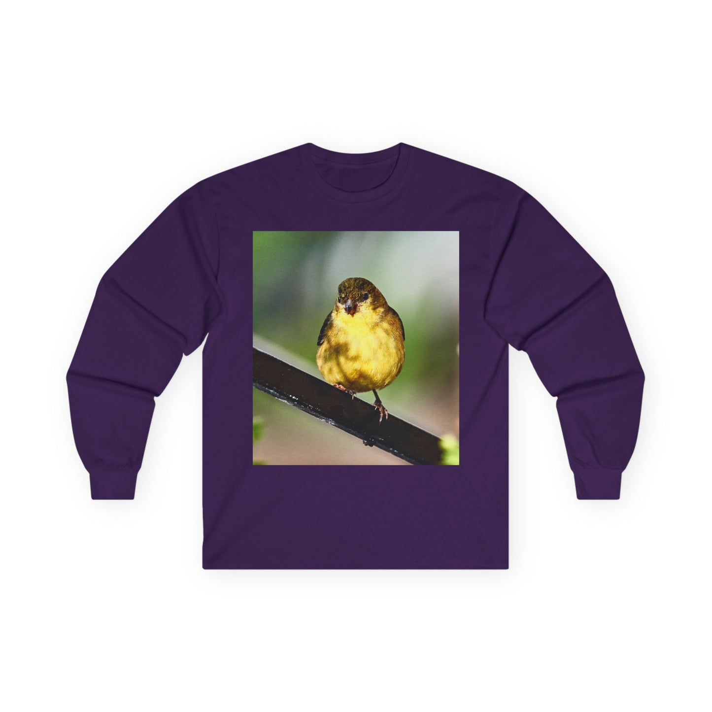 Tee - Lesser Goldfinch Eating from Basil Plant Photo