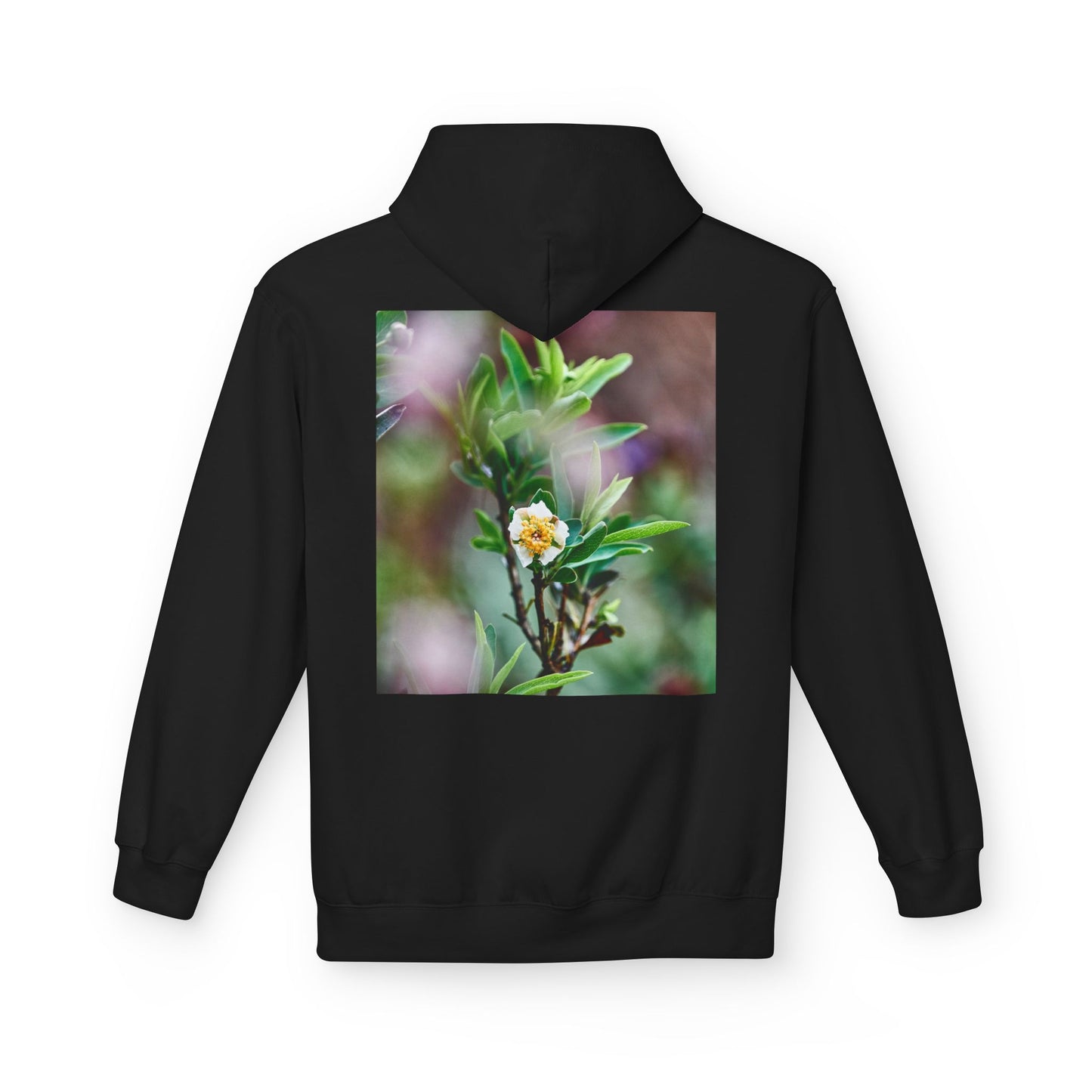 California Native Flower Hoodie — Channel Island Bush Poppy & Catalina Rock Flower Photo