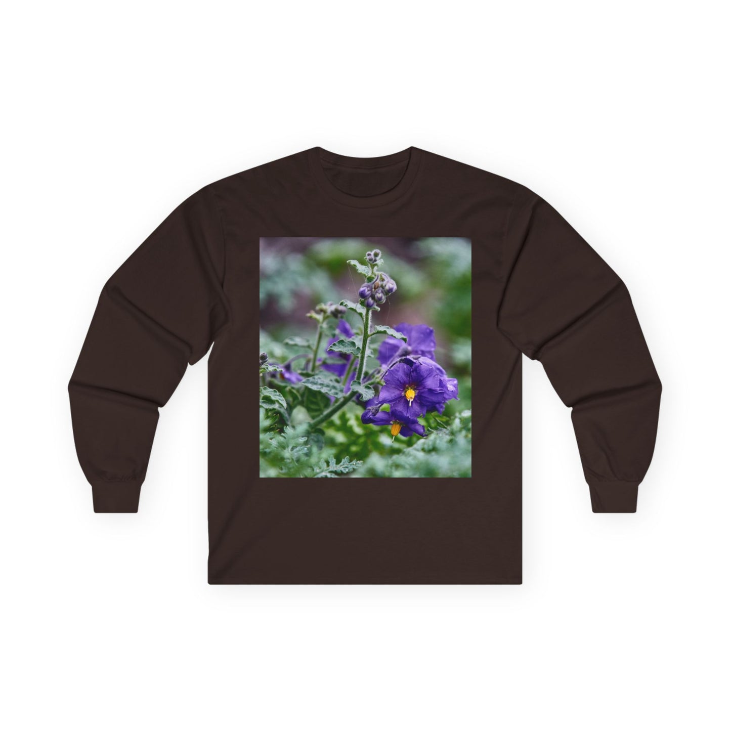 Plant Photo Long Sleeve Tee - California Native Solanum xanti var. hoffmannii