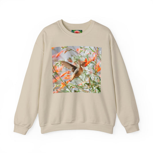 sweatshirt - hummingbird and fritillary butterfly