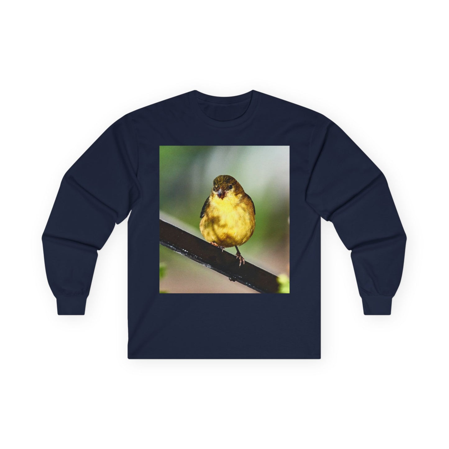 Tee - Lesser Goldfinch Eating from Basil Plant Photo
