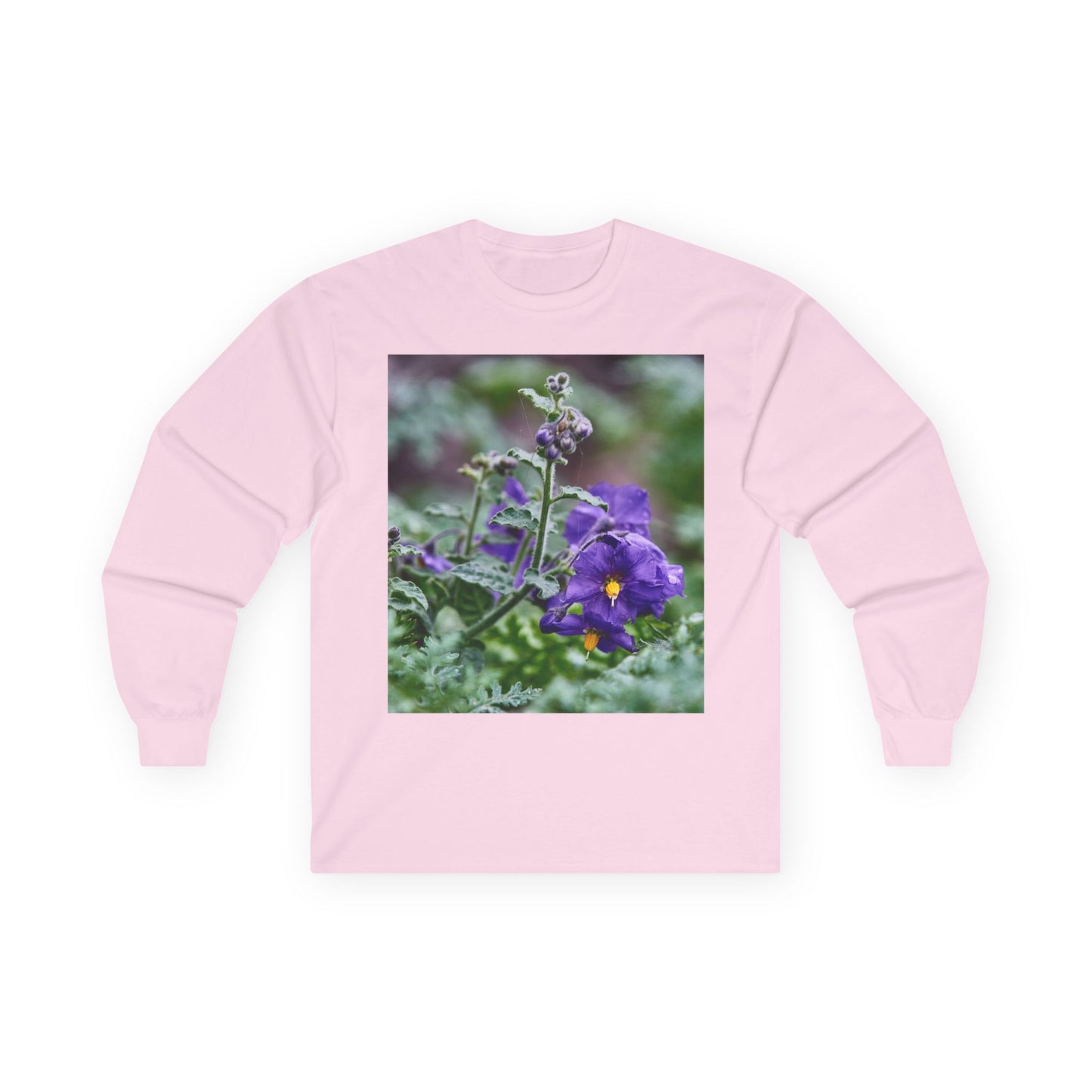 Plant Photo Long Sleeve Tee - California Native Solanum xanti var. hoffmannii