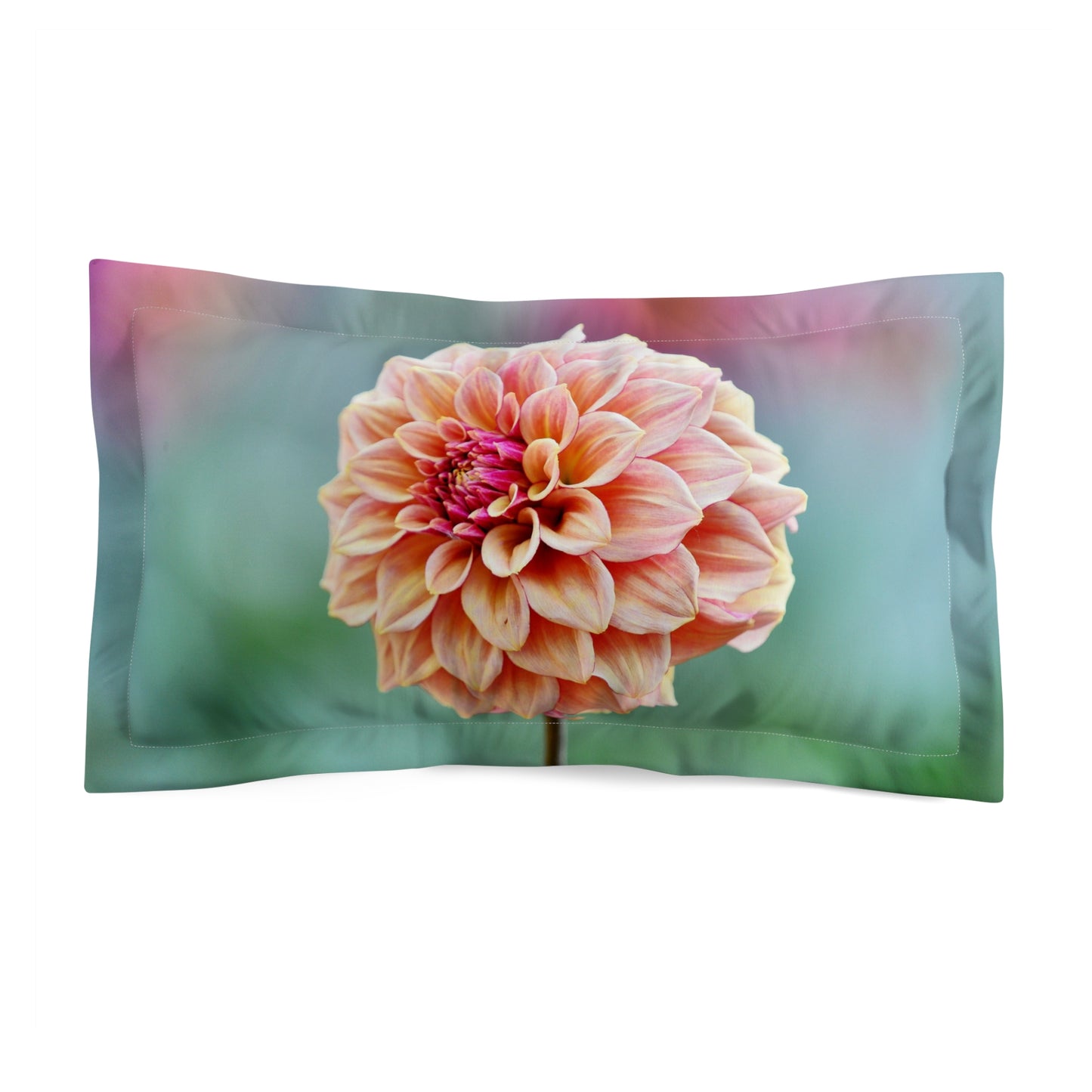 Pillow Sham - Raspberry Creme Brulee Dahlia Photo Design