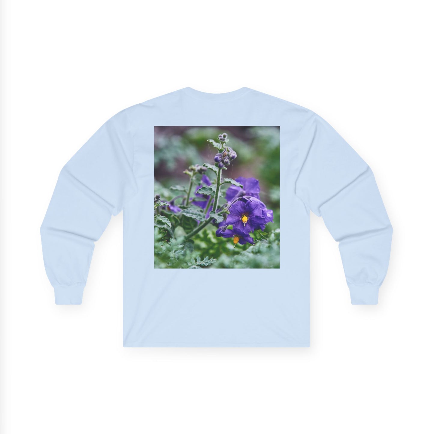 Plant Photo Long Sleeve Tee - California Native Solanum xanti var. hoffmannii