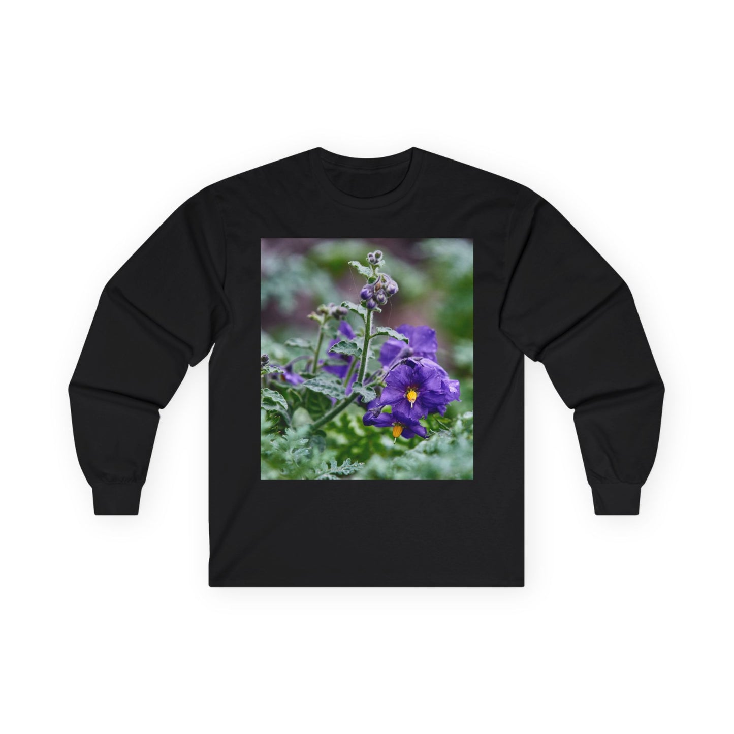 Plant Photo Long Sleeve Tee - California Native Solanum xanti var. hoffmannii